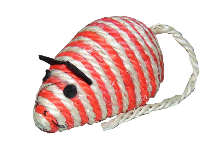 mysz pomarańcz.jpg