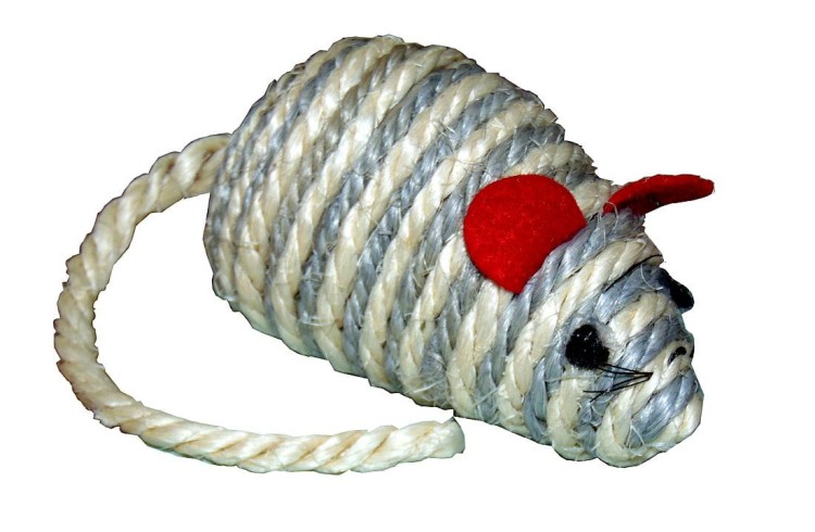 mysz szara.jpg