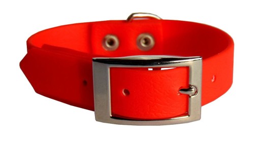 obr biothan pomarańcz.jpg