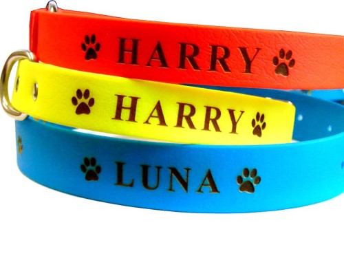 obr biothan kolory grawer.jpg