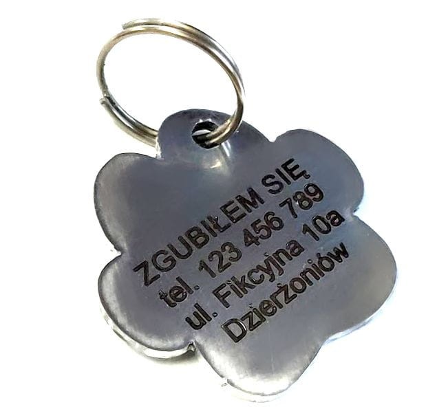 IDENTYFIKATOR ŁAPKA.jpg