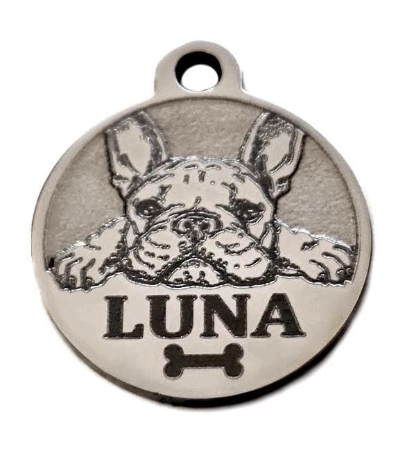 identyfikator Buldog Francuski - Luna.jpg