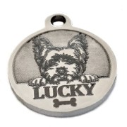 identyfikator Foksterier - Lucky.jpg
