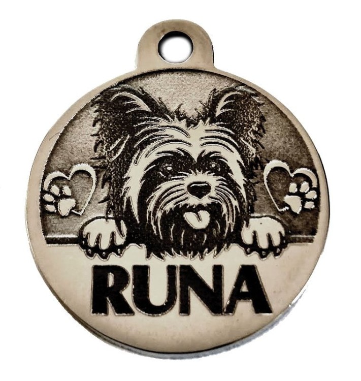 identyfikator york - Runa.jpg