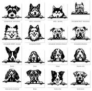 Grafiki psów aa.jpg