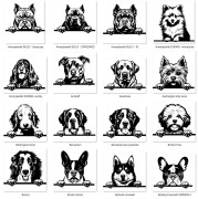 Grafiki psów ab.jpg