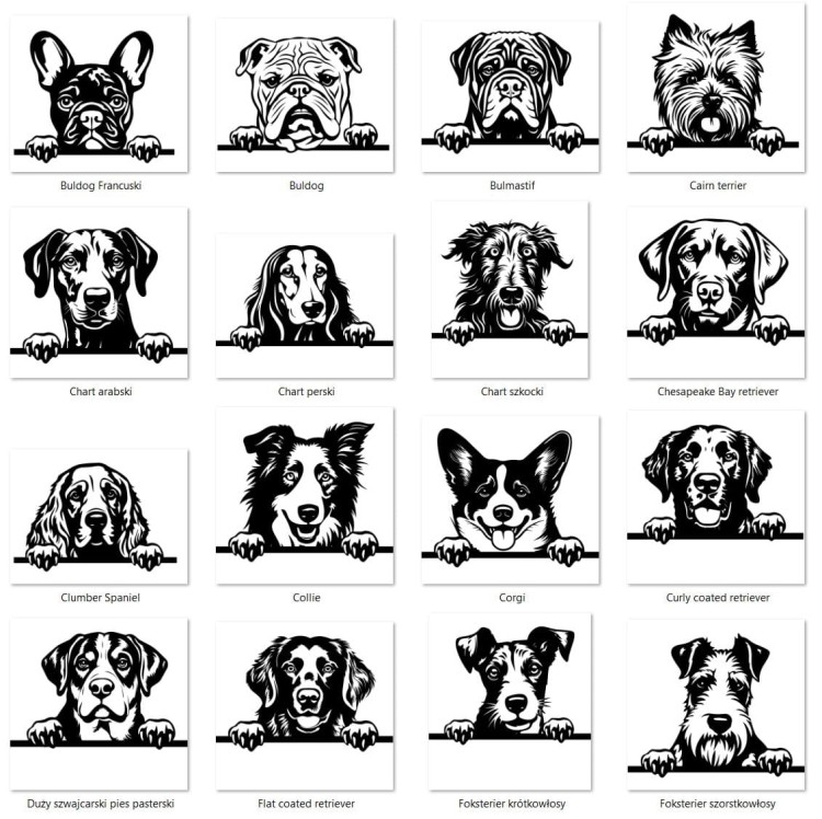 Grafiki psów ba.jpg