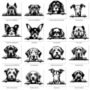 Grafiki psów bb.jpg