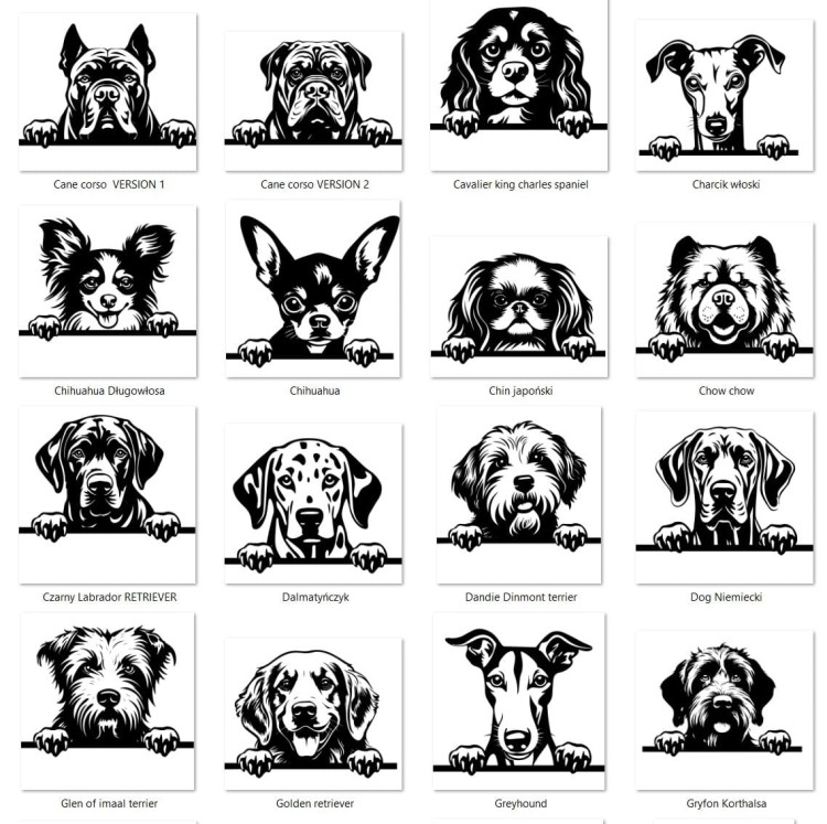 Grafiki psów bb.jpg