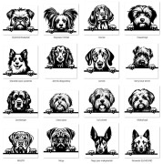 Grafiki psów ca.jpg