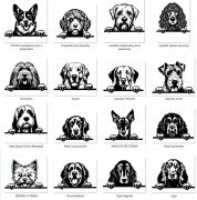 Grafiki psów cb.jpg