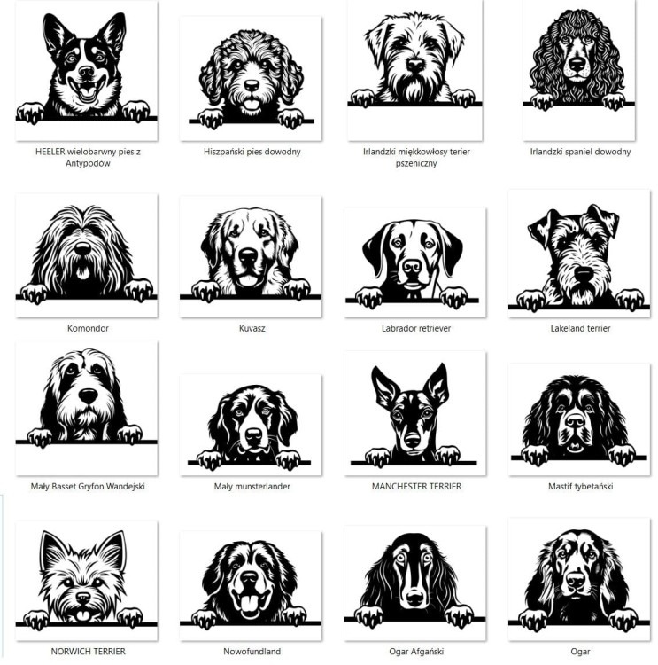 Grafiki psów cb.jpg