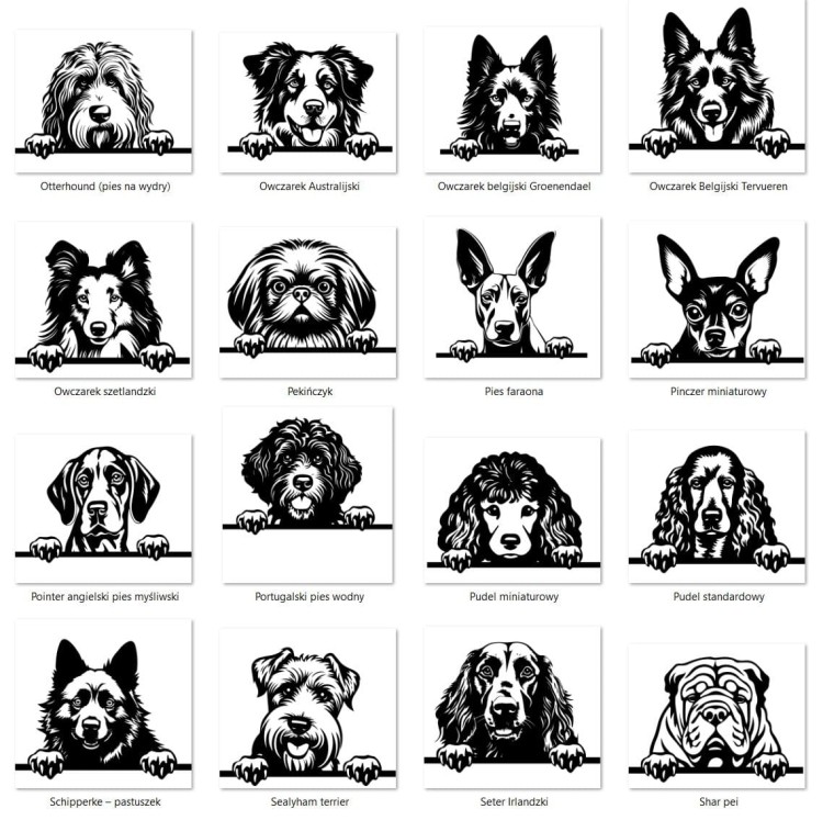 Grafiki psów da.jpg