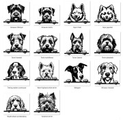 Grafiki psów eb.jpg