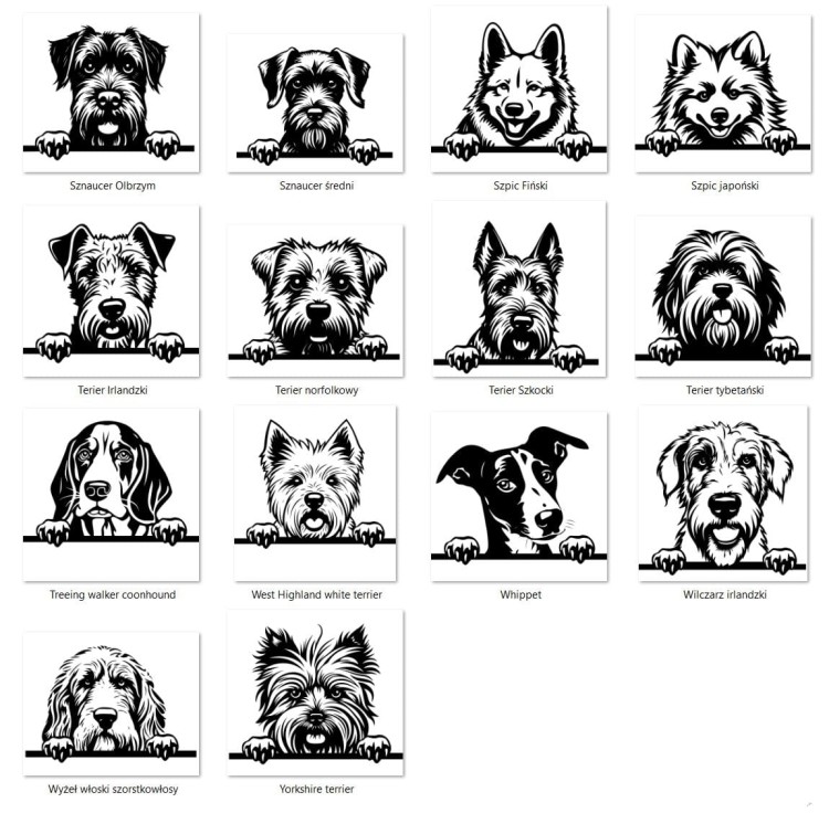 Grafiki psów eb.jpg