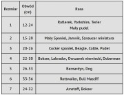 4c9ec30e4deba9a1c22c8f784ecf
