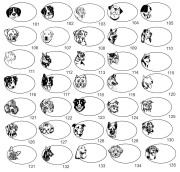 identyf laminat wzory pieski.jpg