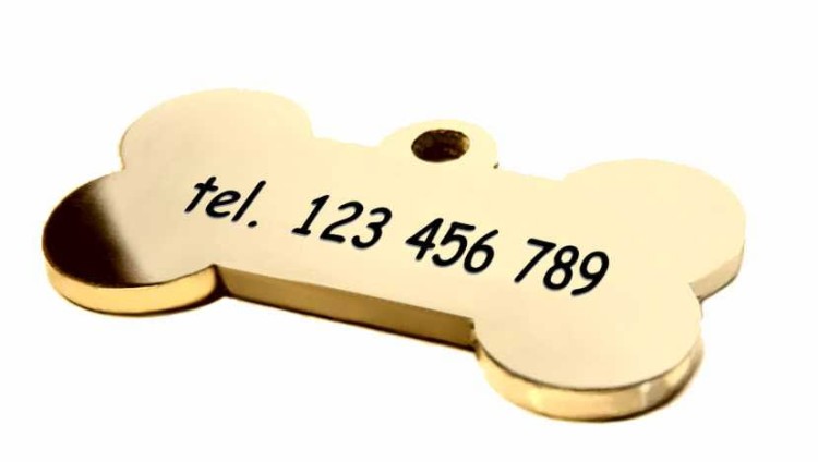 kość identyfikator metalowy2 złoty.jpg