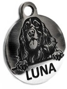 adresówka Luna grafika.jpg