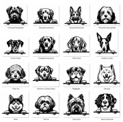 Grafiki psów db.jpg