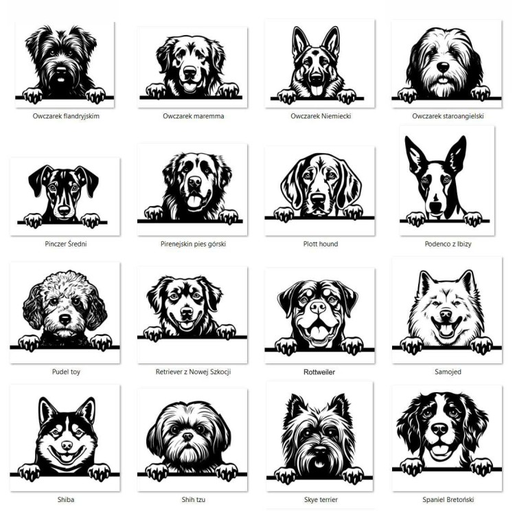 Grafiki psów db.jpg