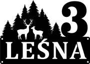 leśna.jpg
