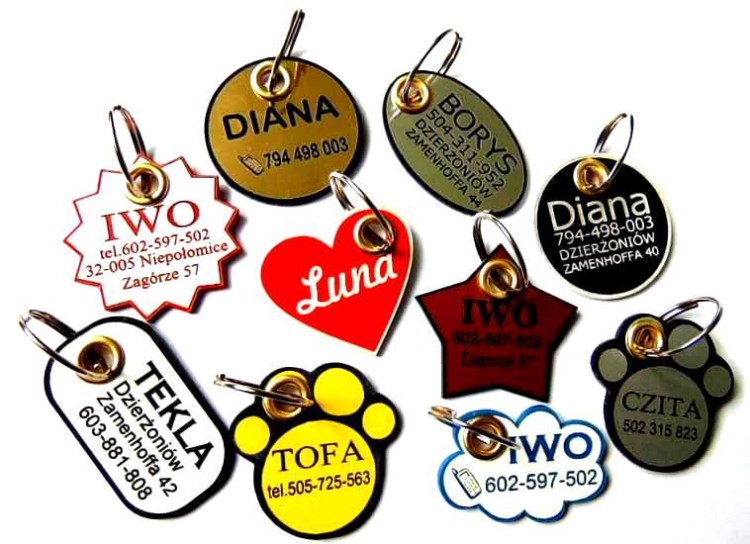 87766e0c471991537a3049f5c617